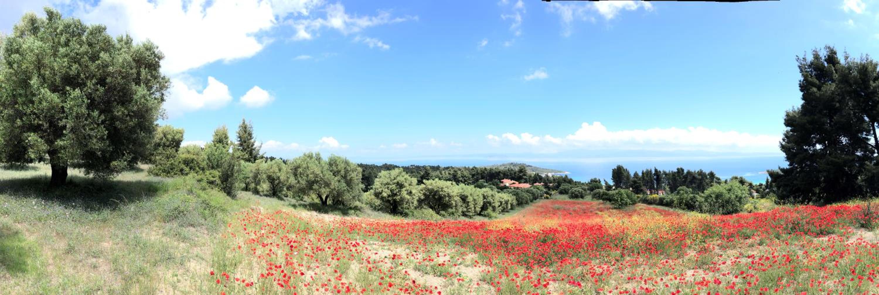 Villa Palatina