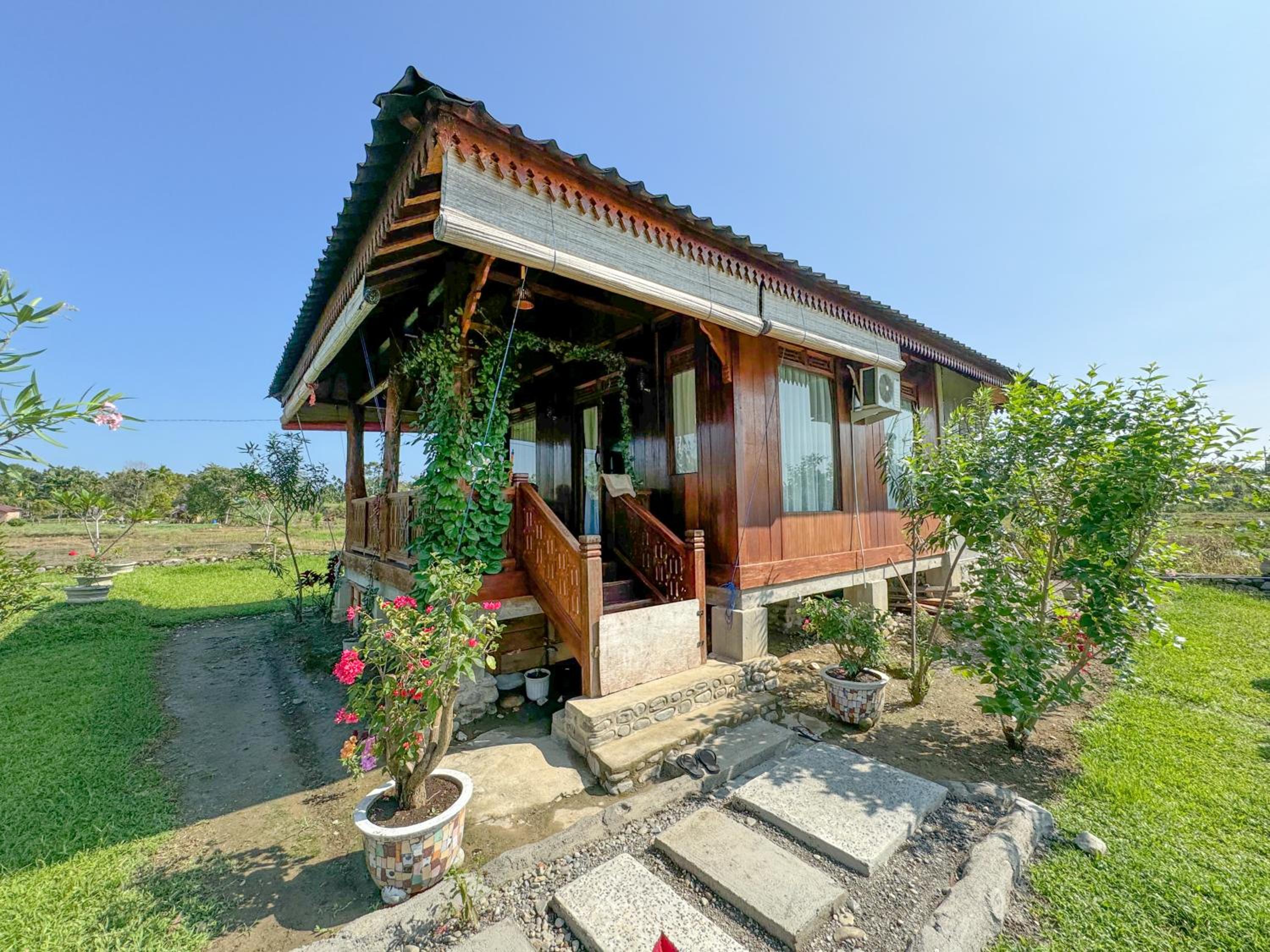 Sumatra Orangutan Treks Villa & Ethical Eco-Friendly Jungle Trekking Activity view 2