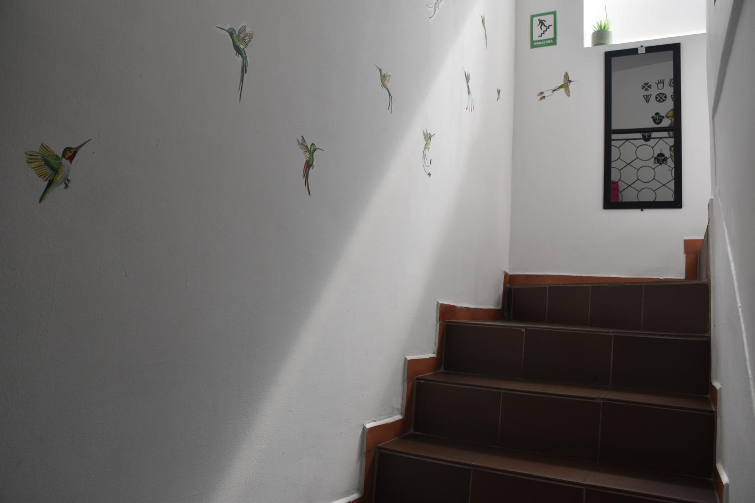 Celaví Hostel