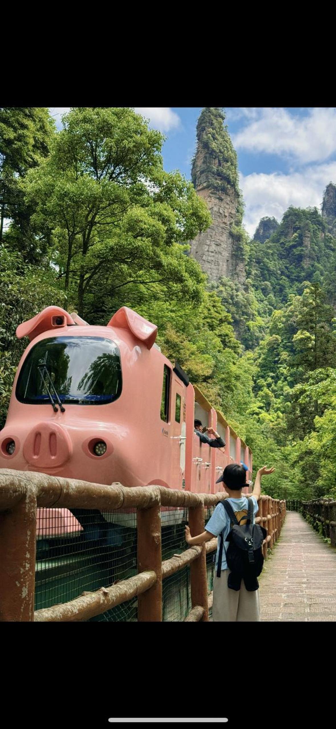 Tongfu Inn(In the National Park)