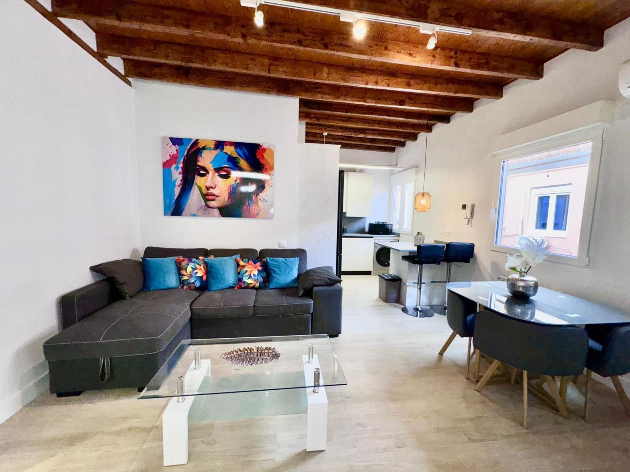 Salamanca Apartment Mid-stay photo 4