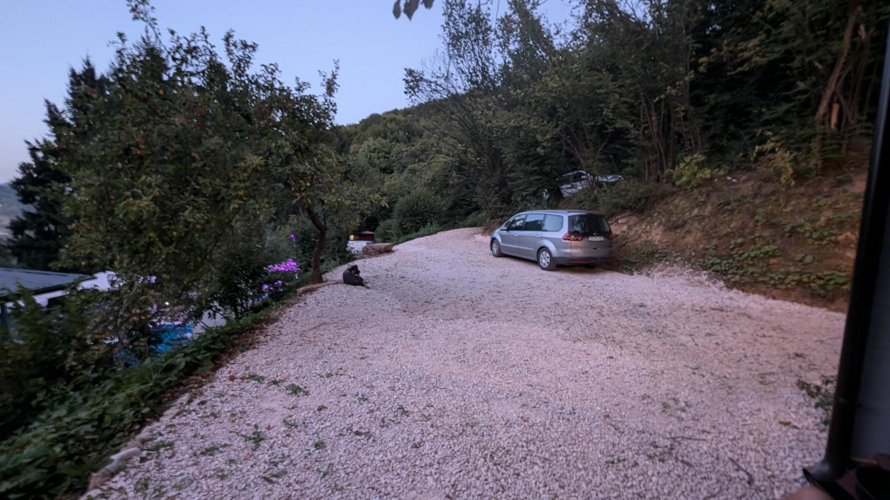 parking