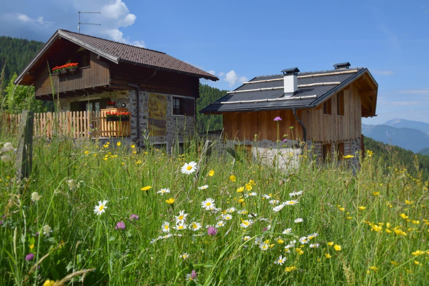 LARIS mountain house
