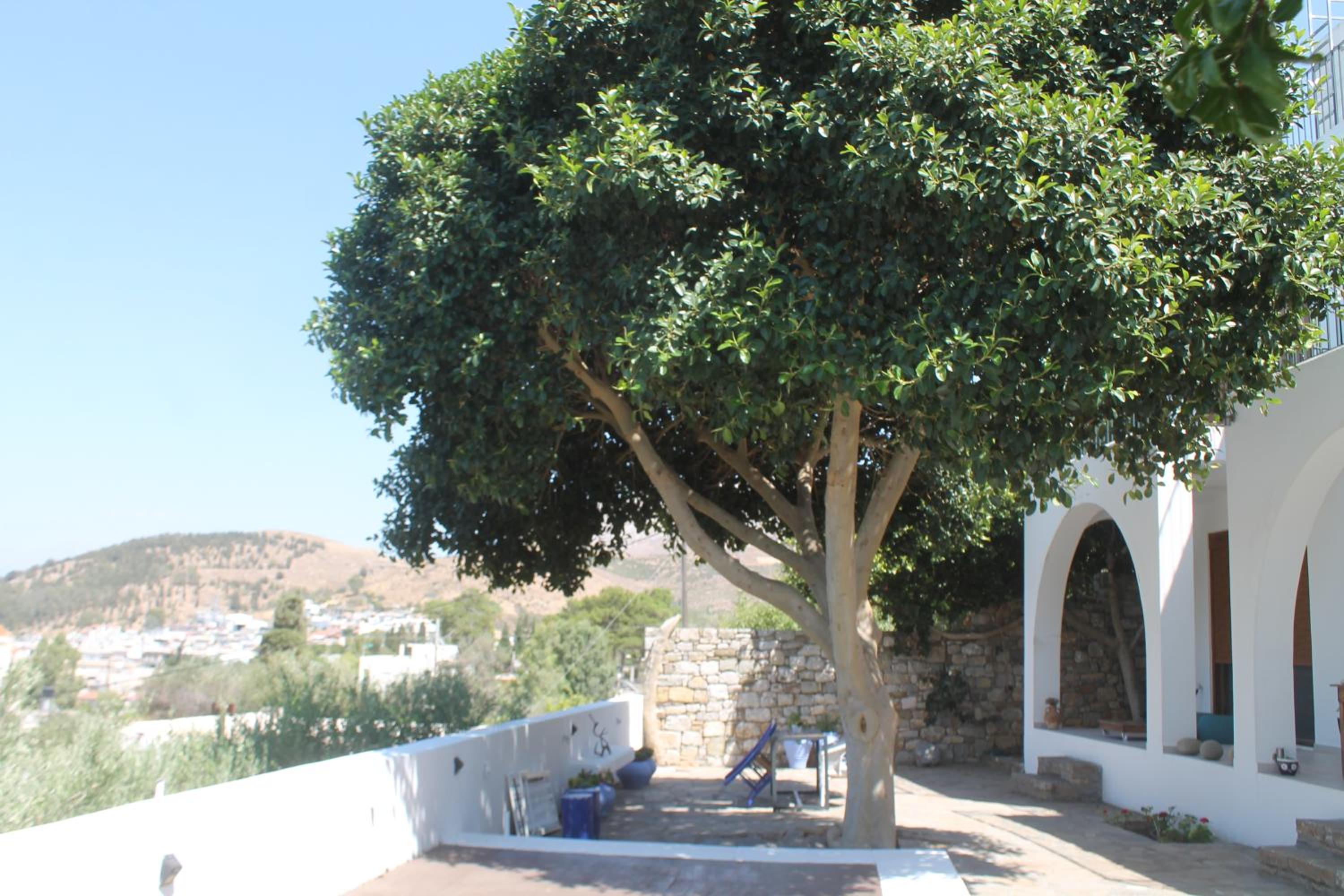 Photo 26