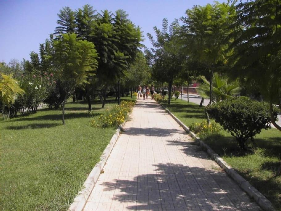 Photo 29