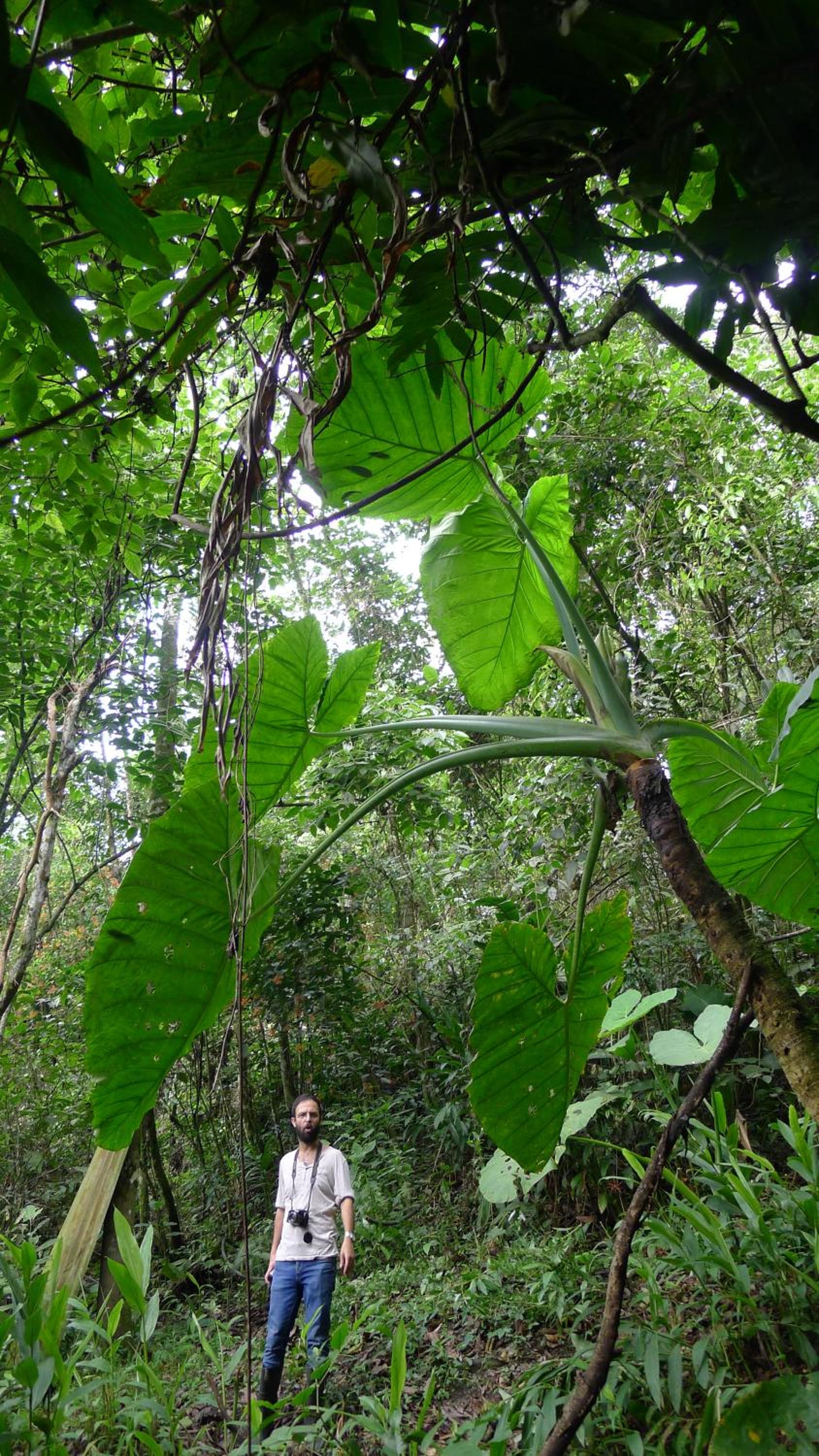 Alejandría, reserva natural y las 7 cascadas