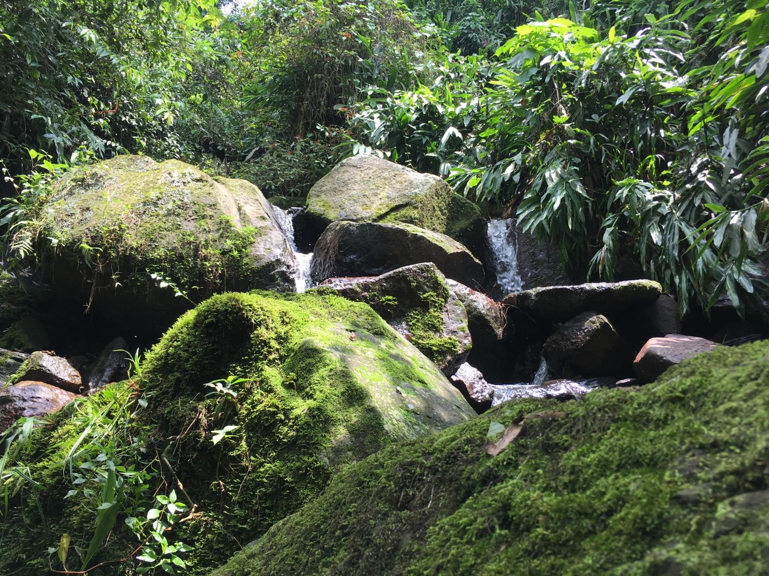 Alejandría, reserva natural y las 7 cascadas