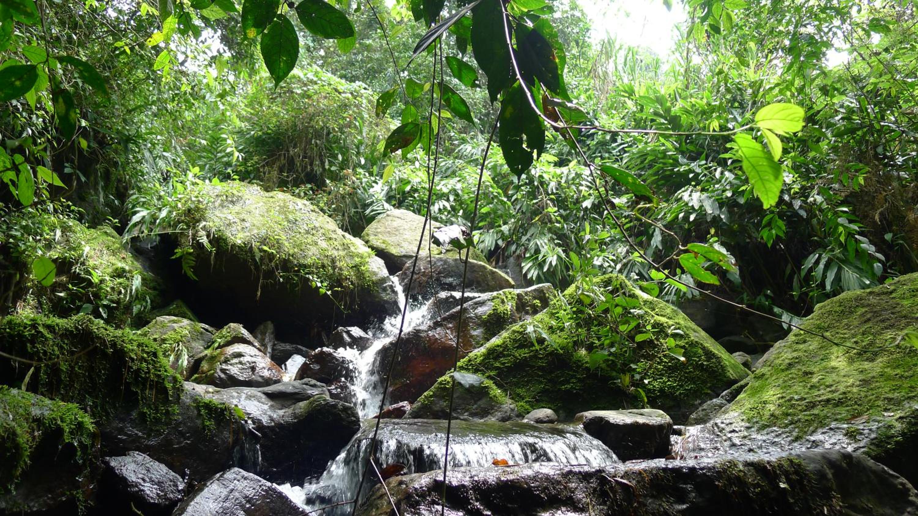 Alejandría, reserva natural y las 7 cascadas