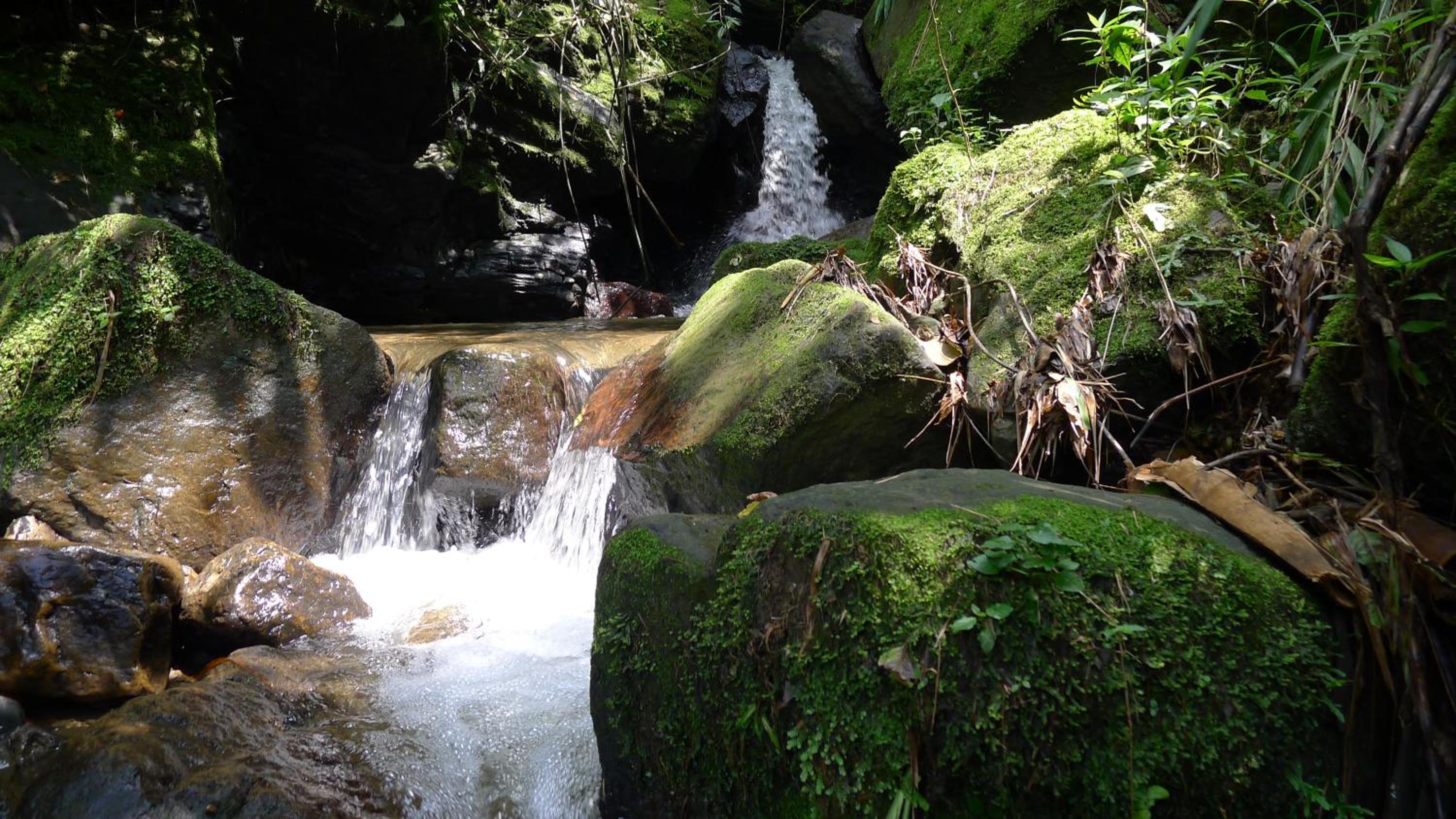 Alejandría, reserva natural y las 7 cascadas