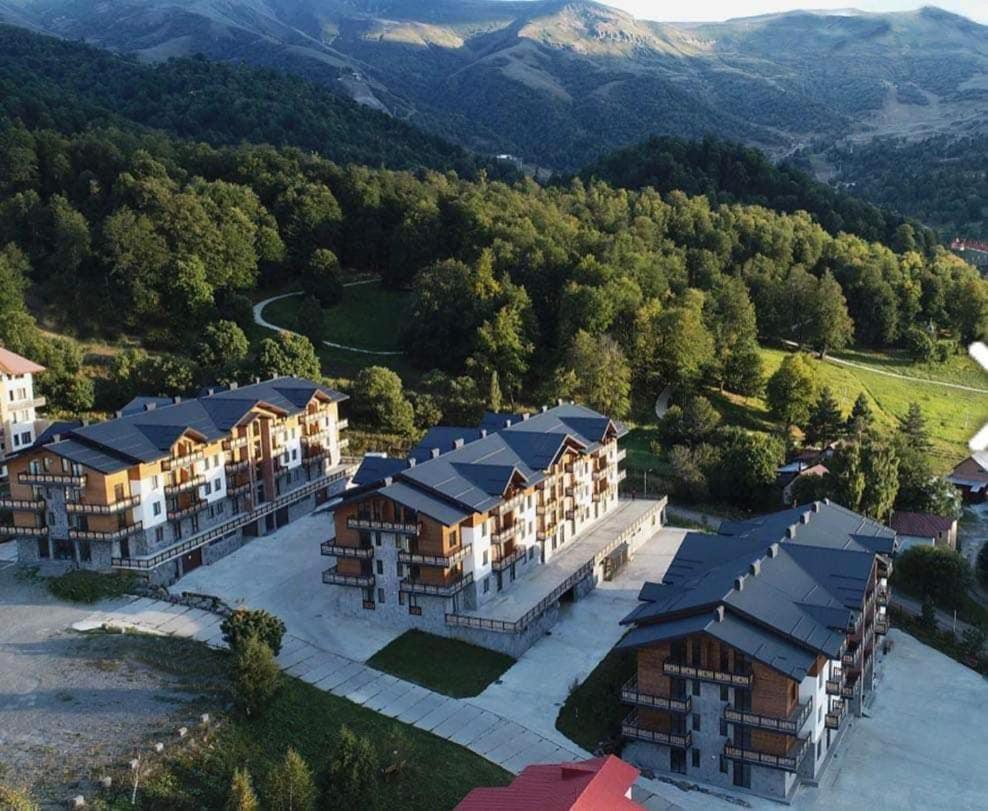 Trialeti Residence Apartment at Bakuriani