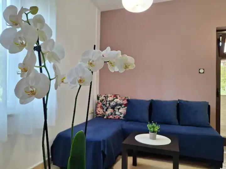 Charming Apartment