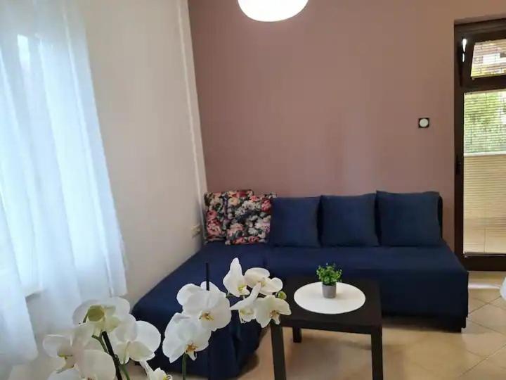 Charming Apartment