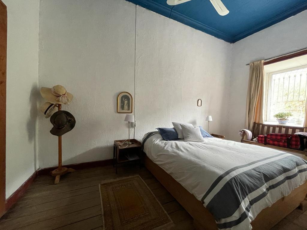 Casa Gabriela, Monte Grande ,Valle de Elqui