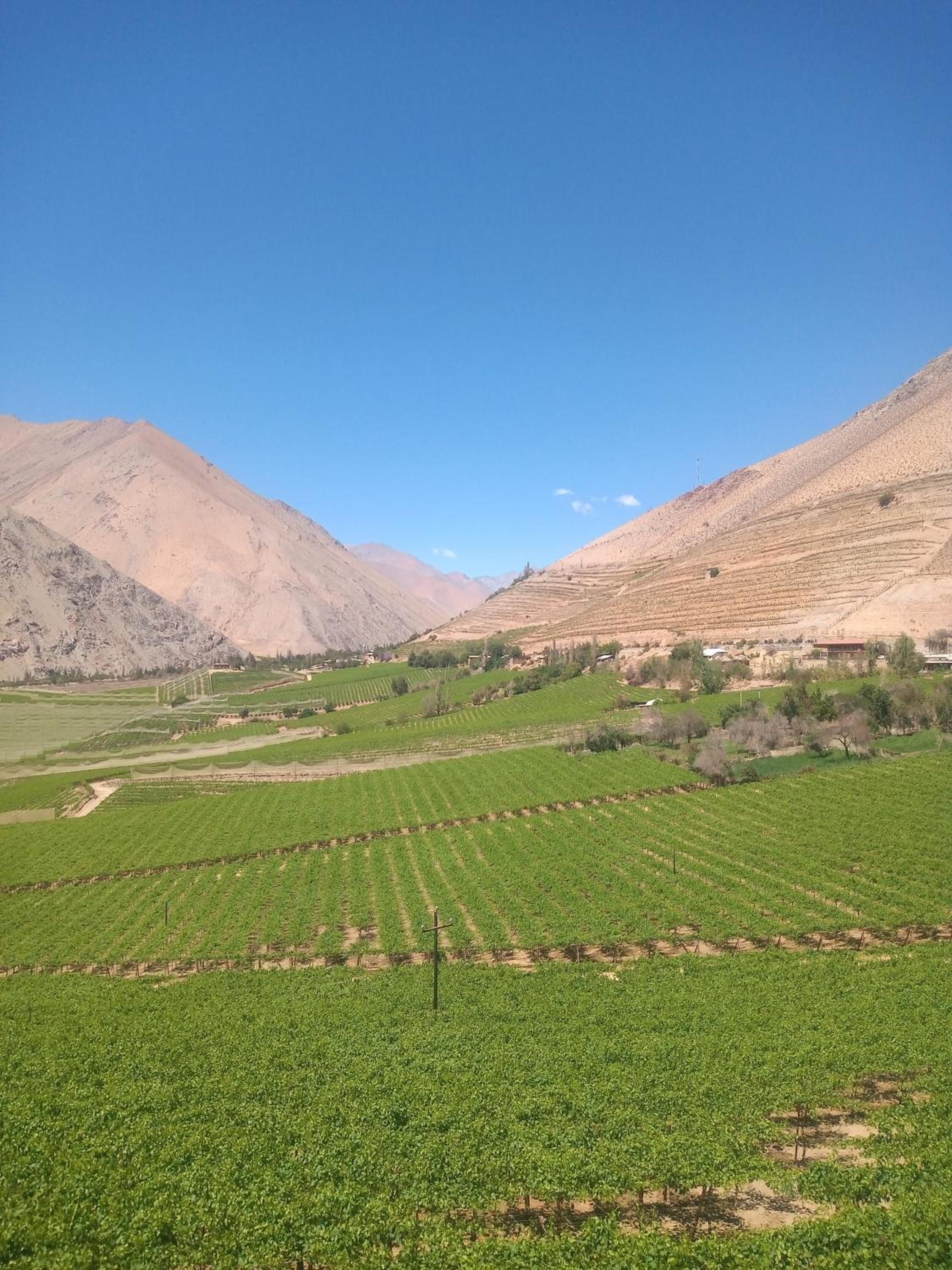 Casa Gabriela, Monte Grande ,Valle de Elqui