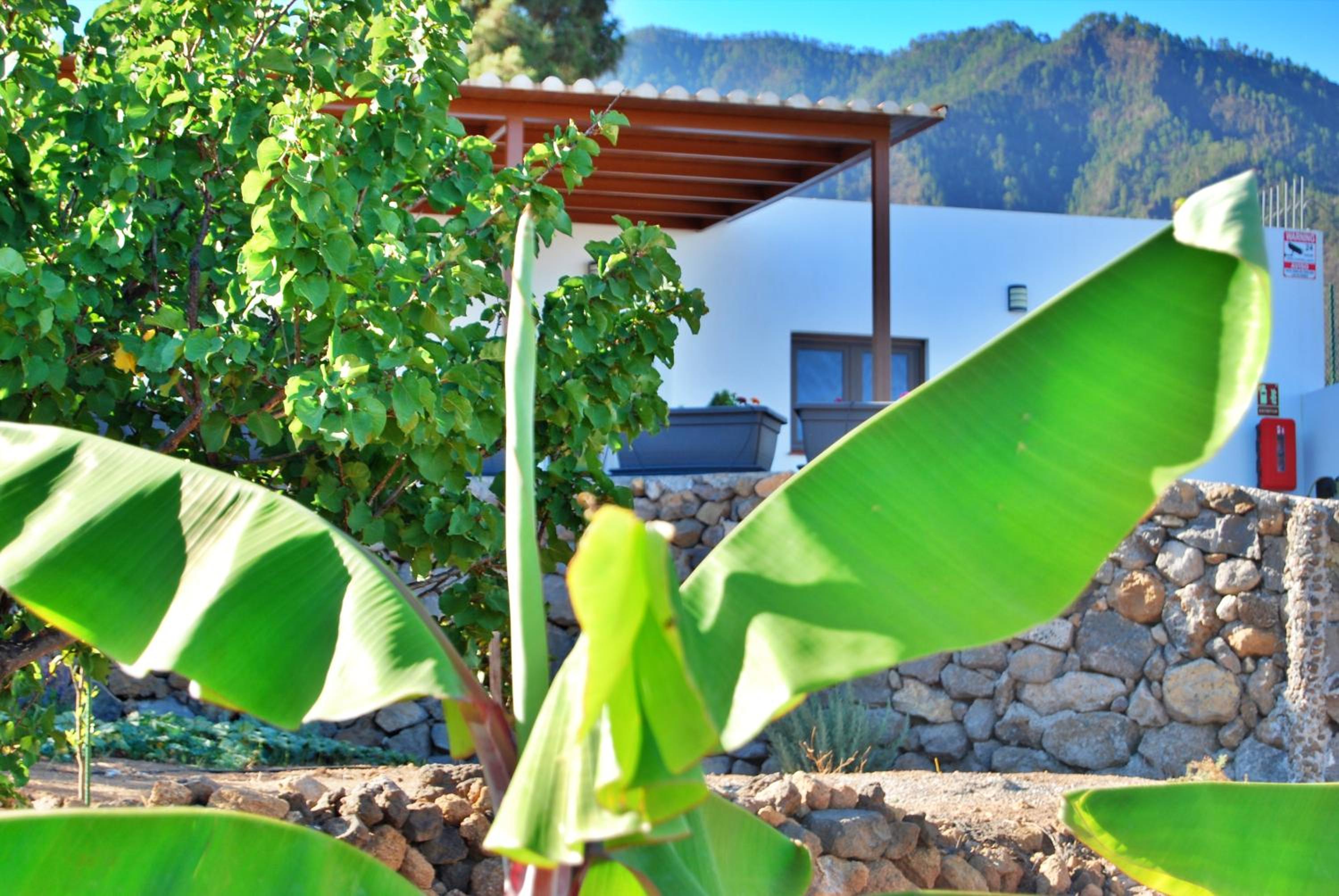 Finca ecológica casa el Cuarto con vistas