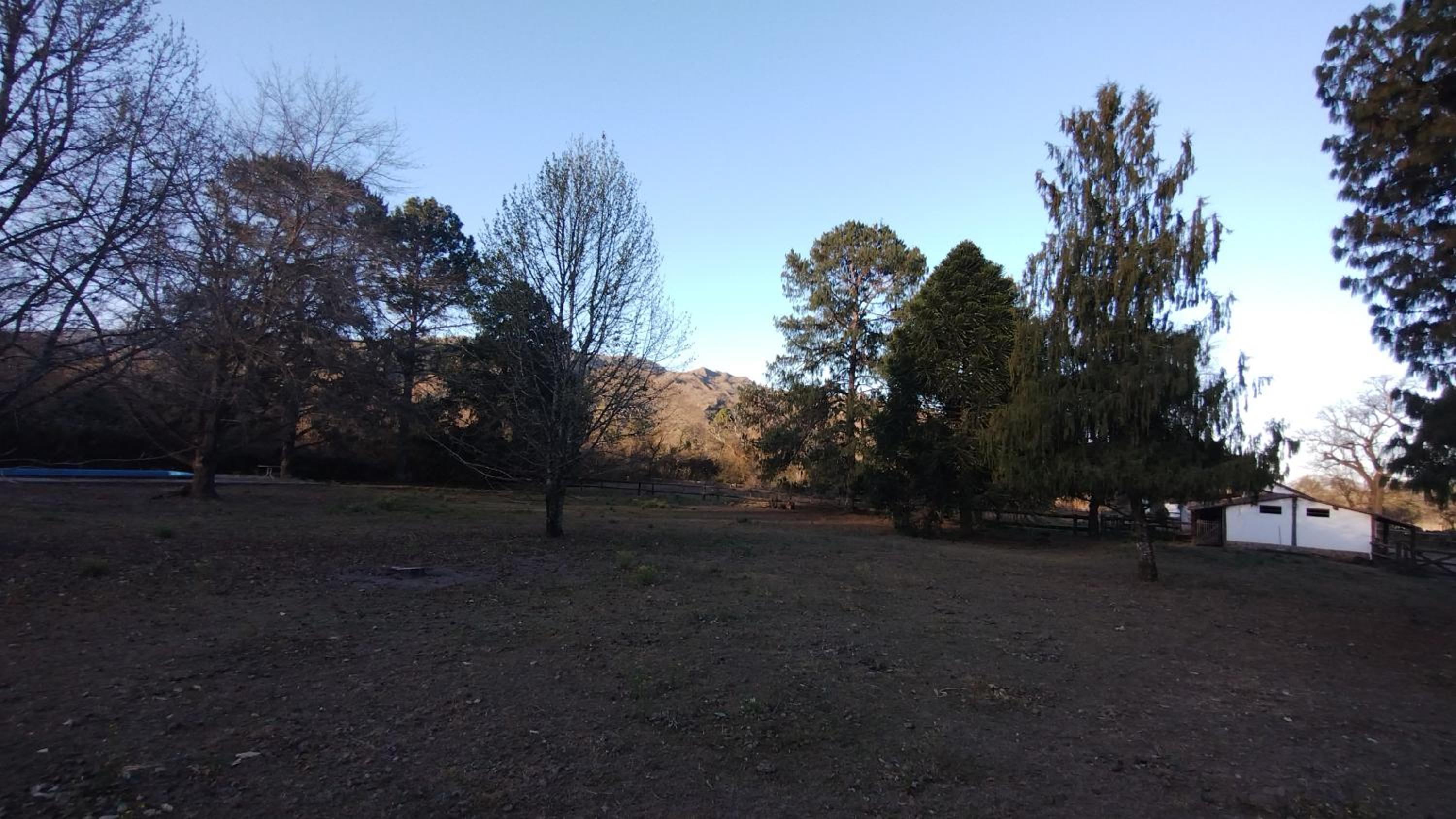Querencia de Castellanos