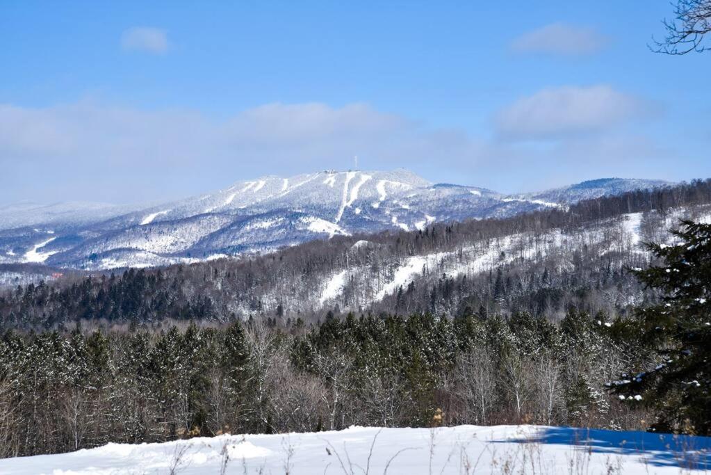 2-Level Home - Tremblant Mountain View - Fireplace