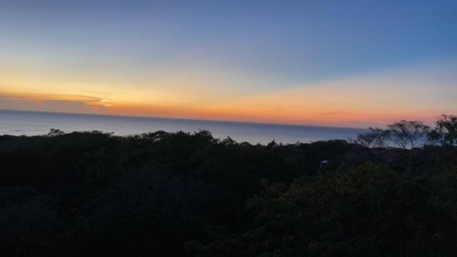 Tree Top Suites and Resort