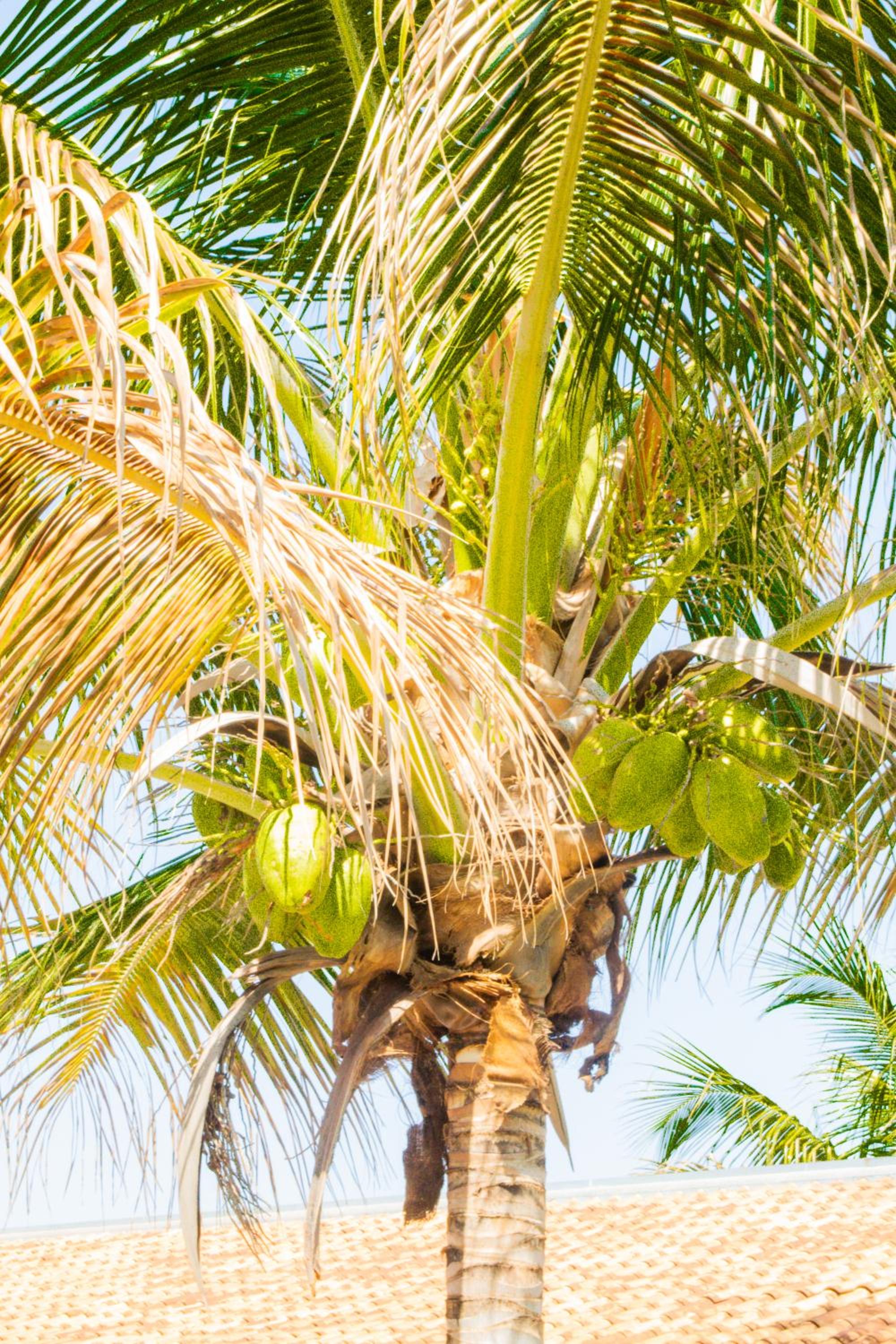 other
