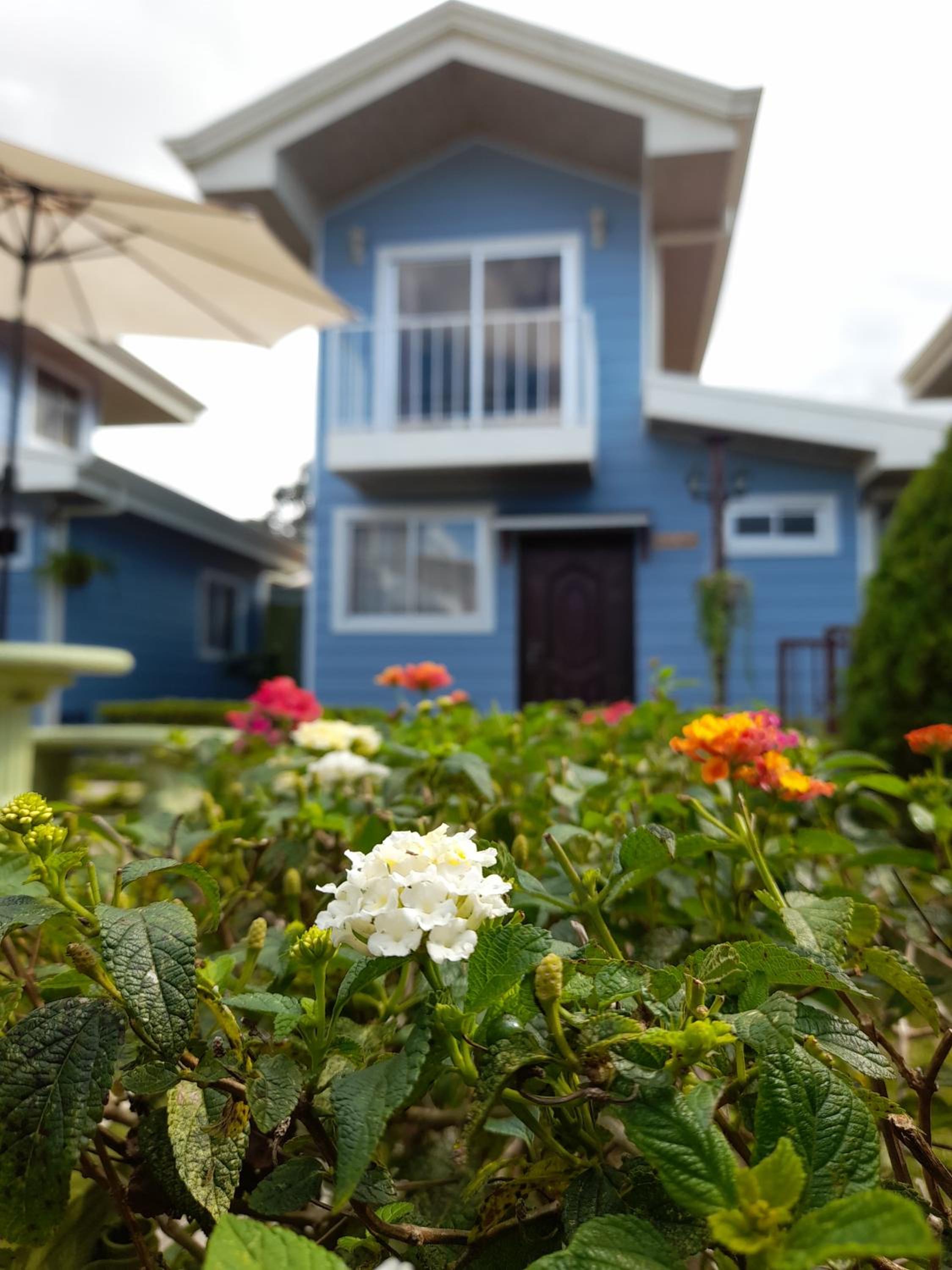 Villas Orosi Valley Lodge
