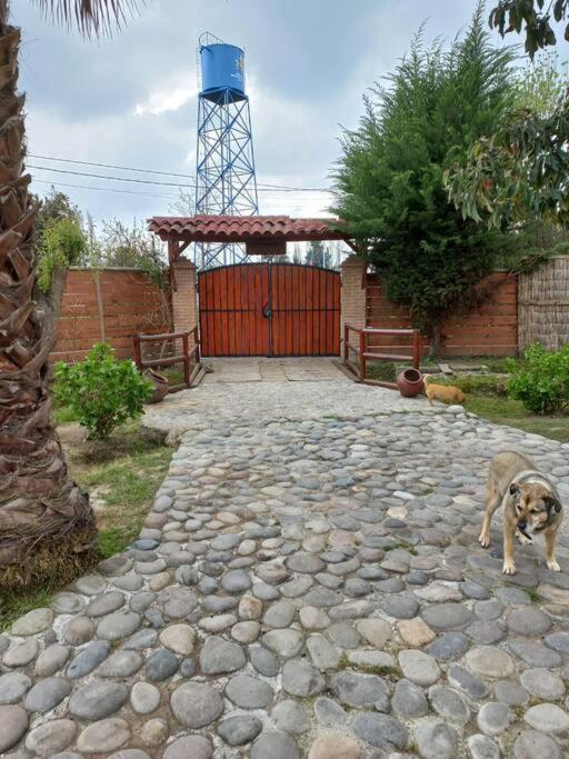 Casa de Campo para desconectarse de la ciudad