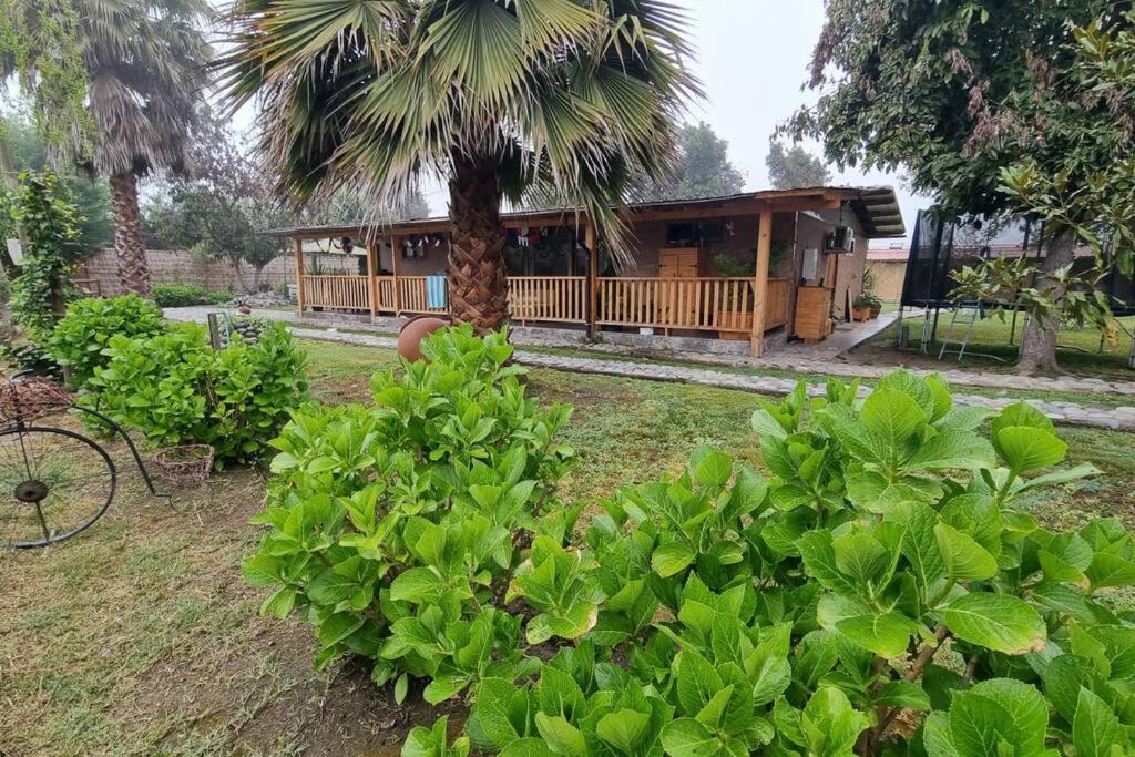 Casa de Campo para desconectarse de la ciudad