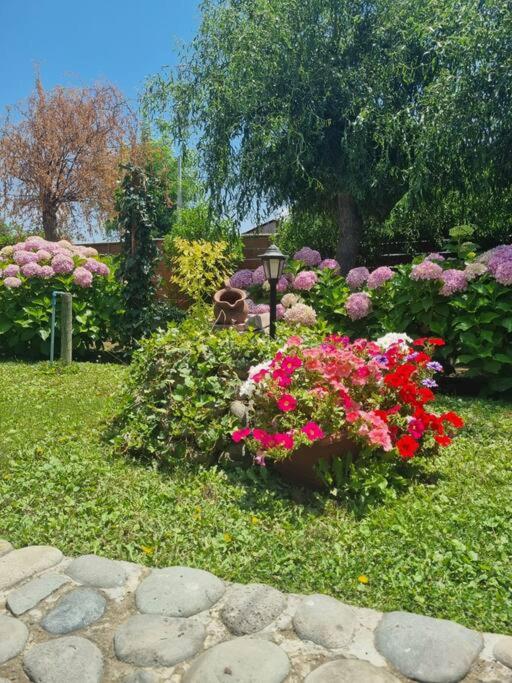 Casa de Campo para desconectarse de la ciudad