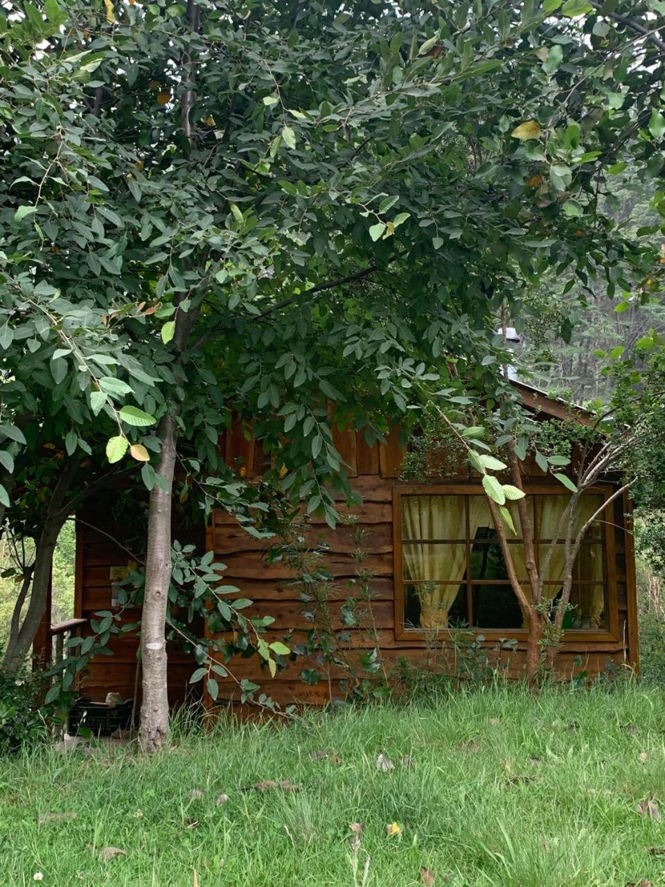 Cabañas Sol de Montañas