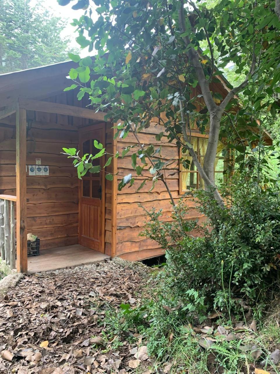 Cabañas Sol de Montañas