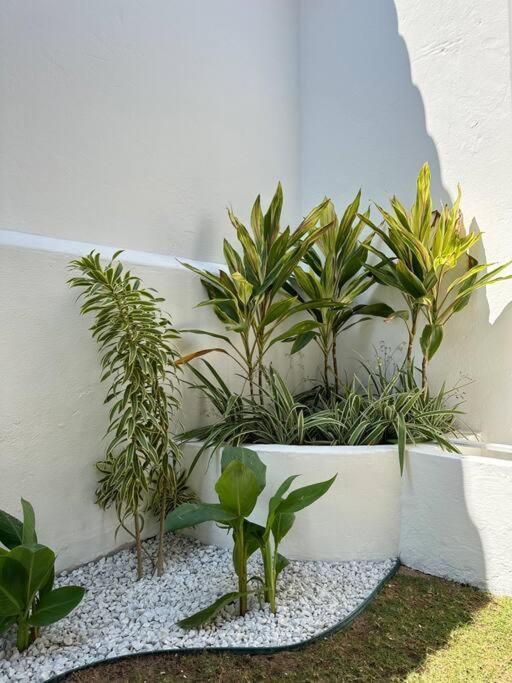 Villa Carlotta Praia Uruaú 5 camere da letto
