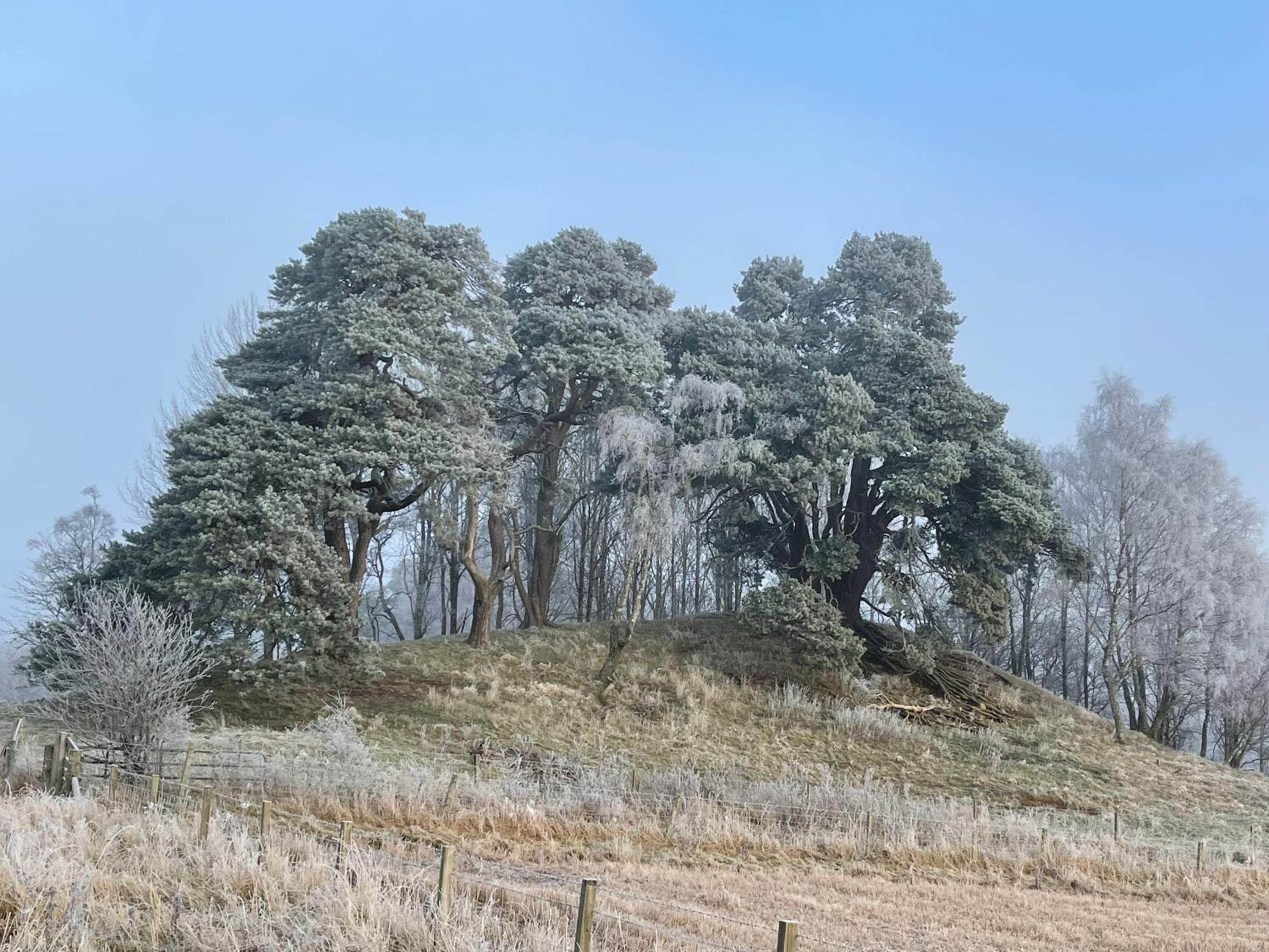 Coppice Cottage