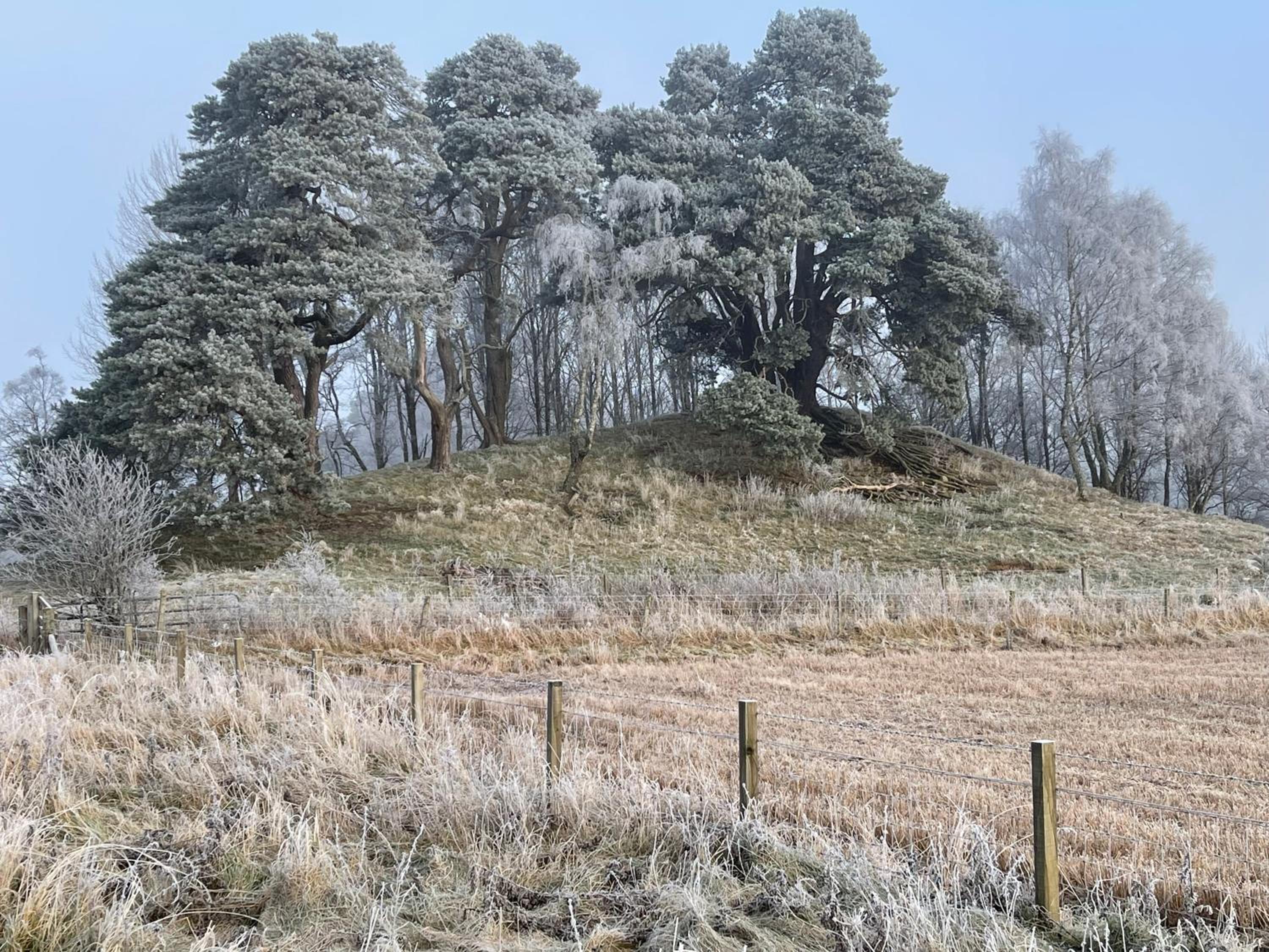Coppice Cottage
