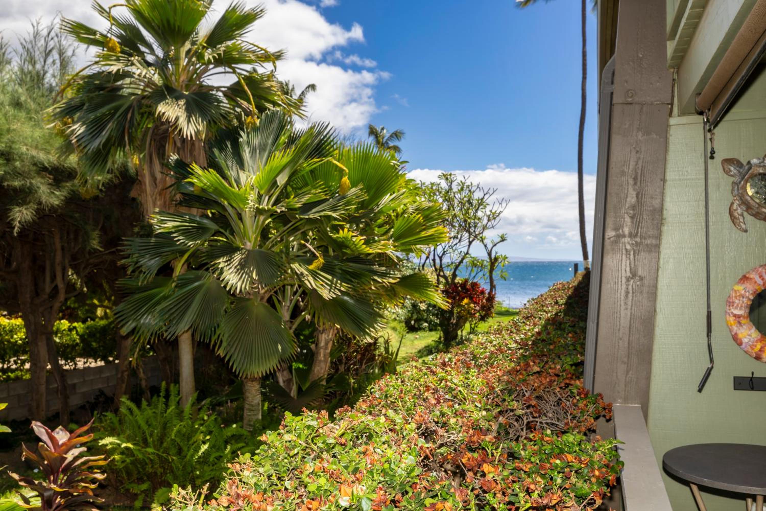 Kihei Kai Oceanfront Condos