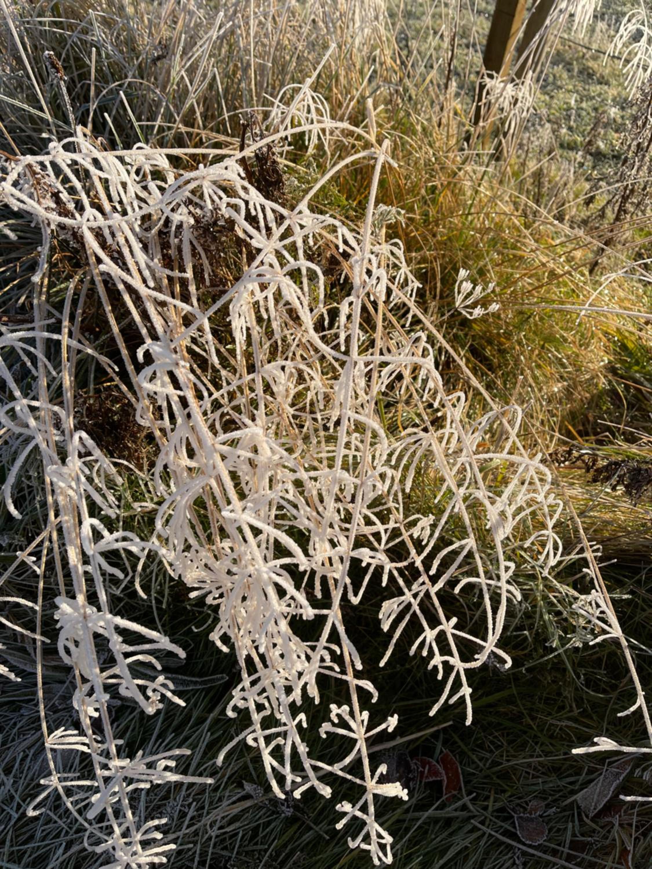 Coppice Cottage