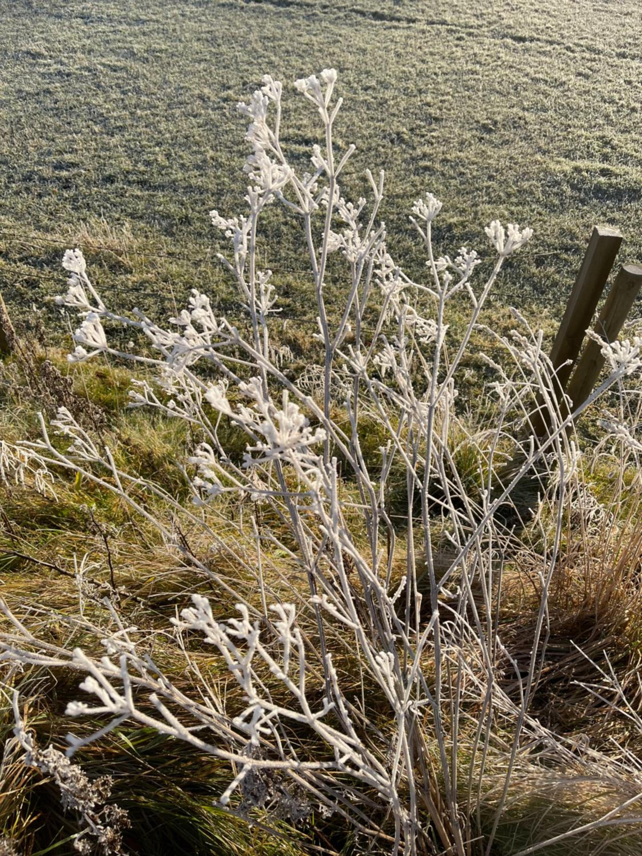 Coppice Cottage