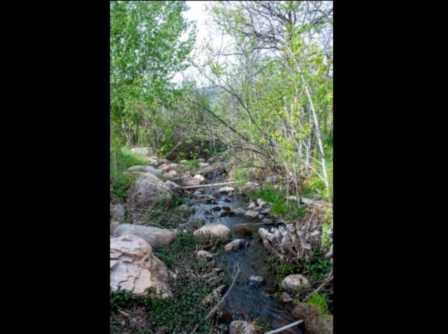 Creekside Comfort with Resort Amenities
