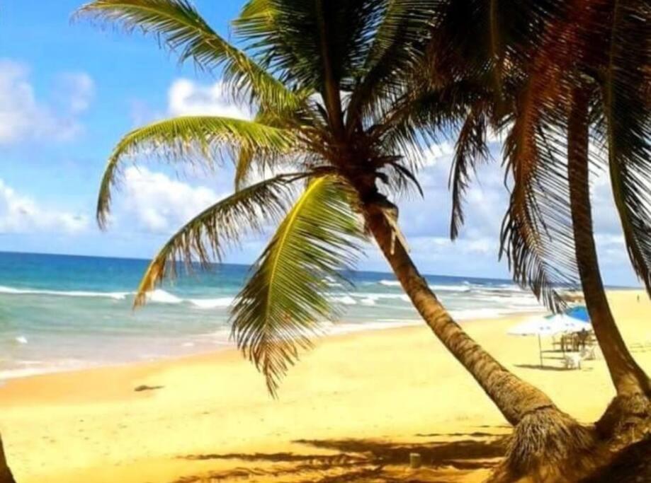 Férias na praia!