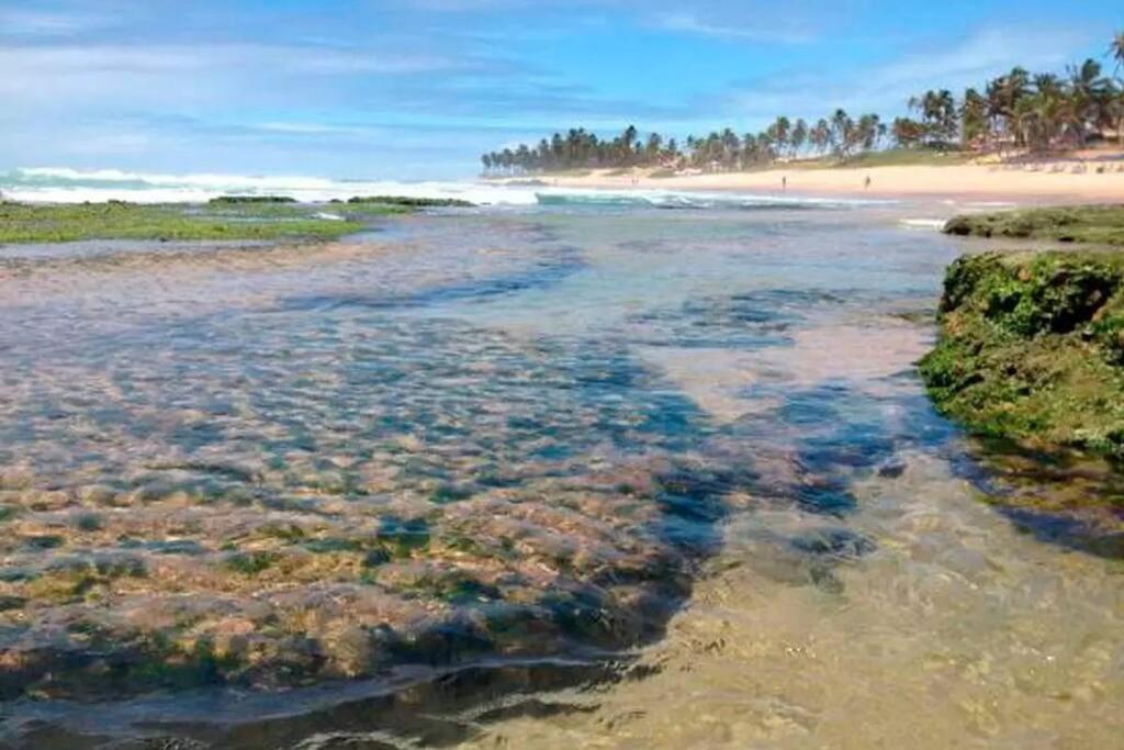 Férias na praia!