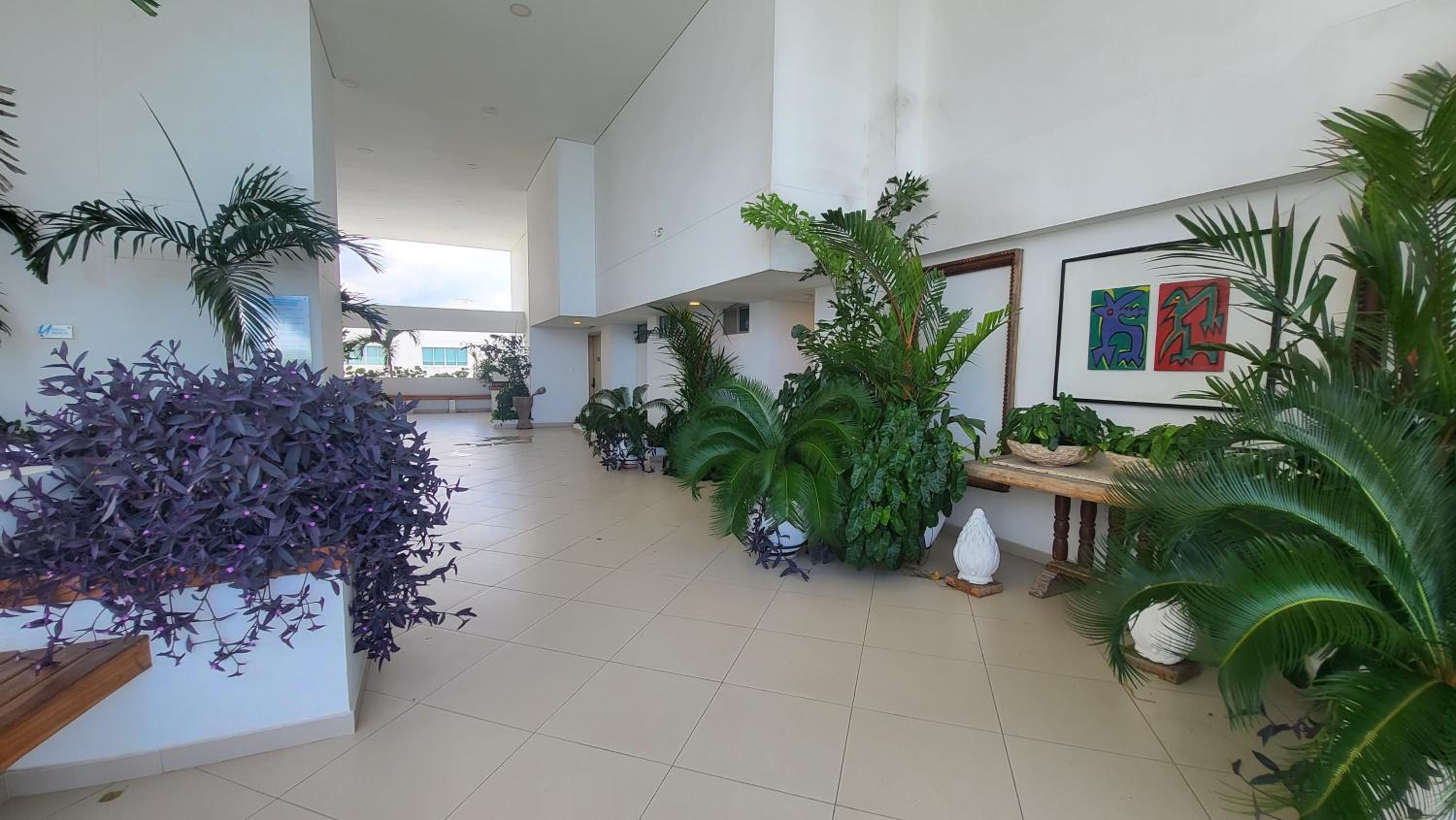 Duplex de Lujo nuevo con vista increible al centro y la playa