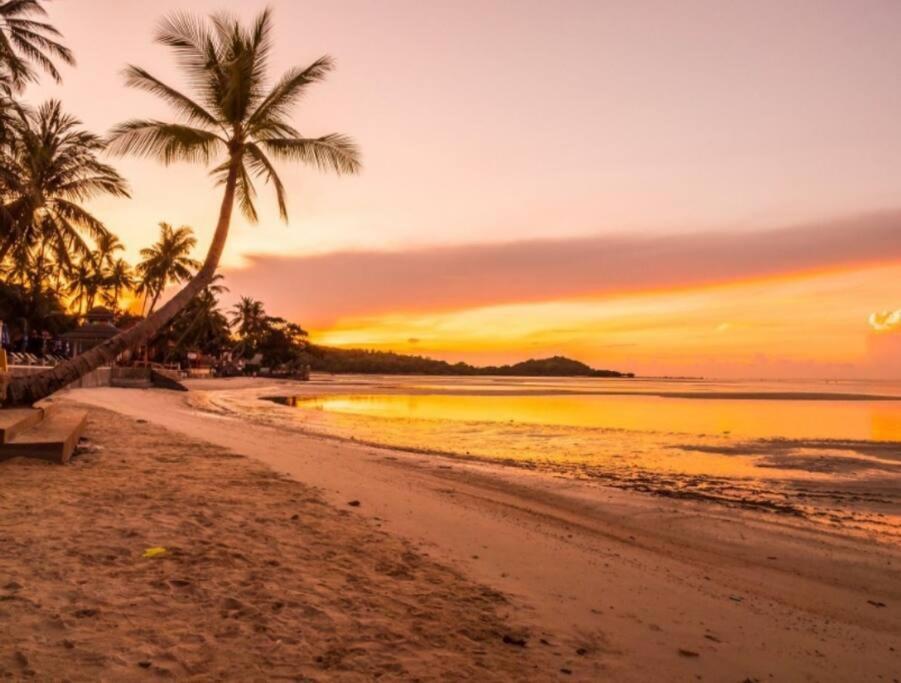 Férias na praia!