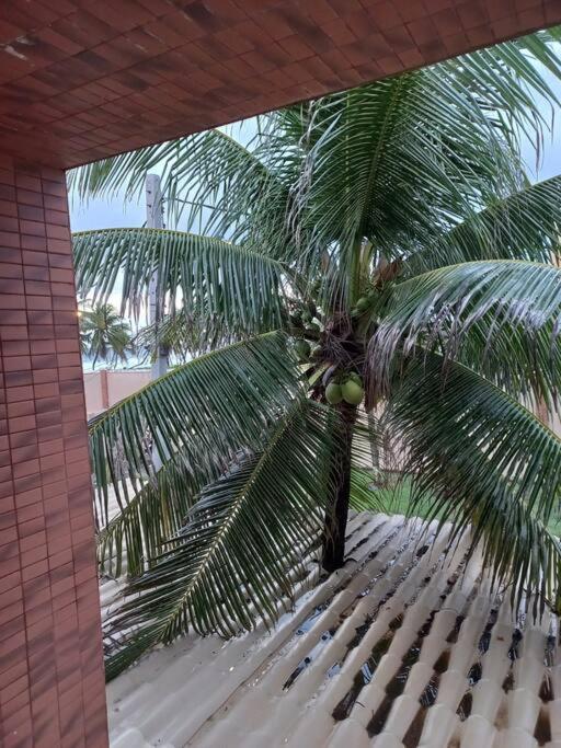 Férias na praia!