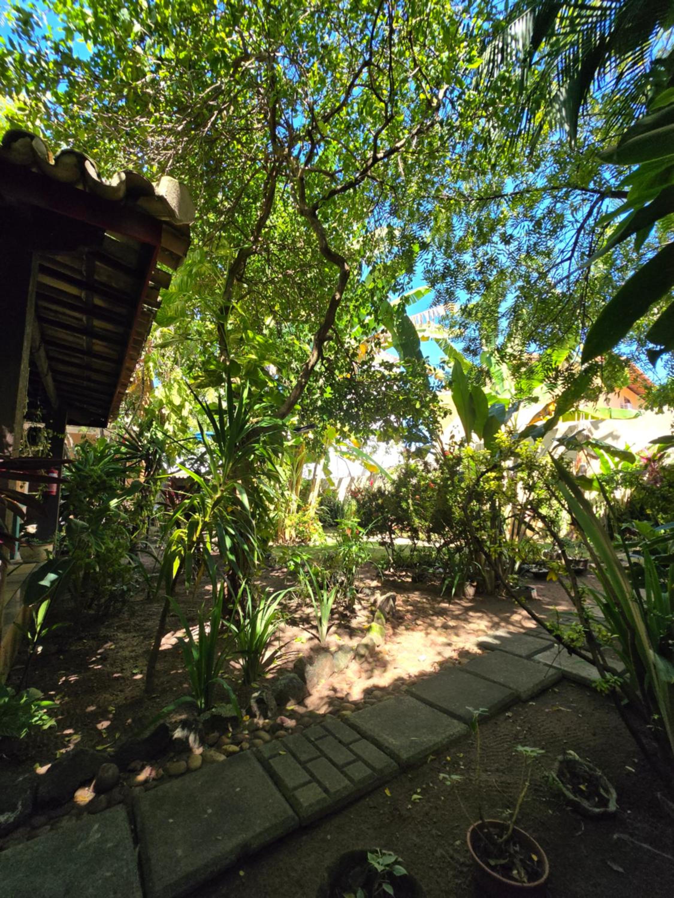 Studio oásis verde