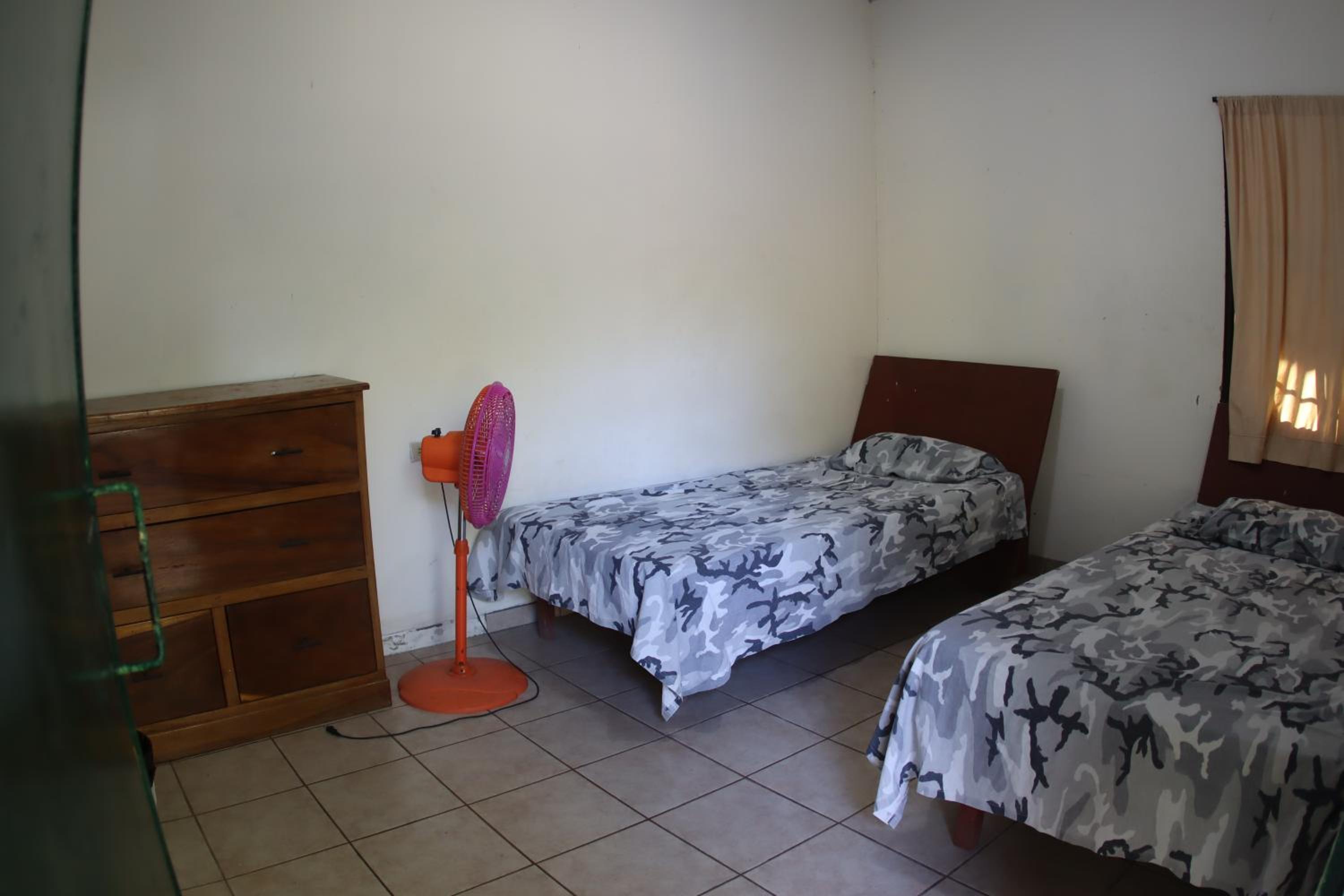 Photo 6