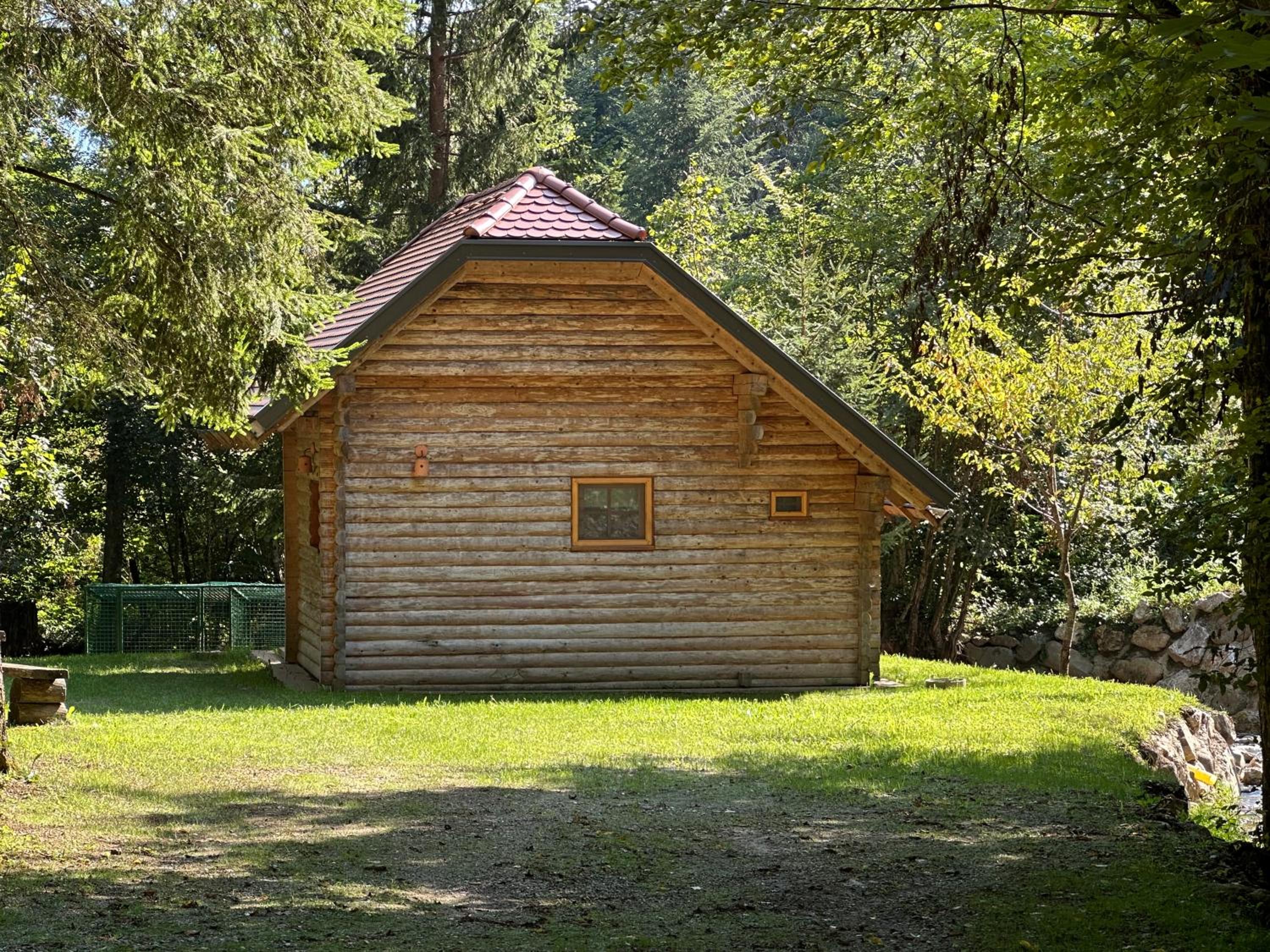 Photo 16
