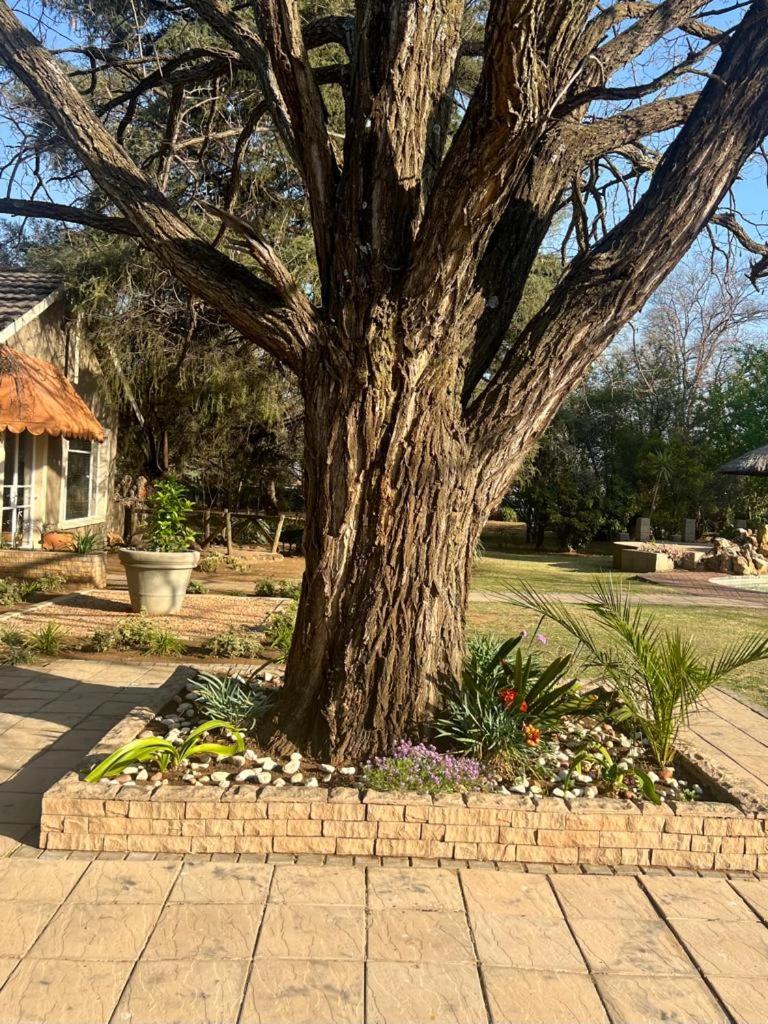 Silken Trap Accommodation NO LOADSHEDDING