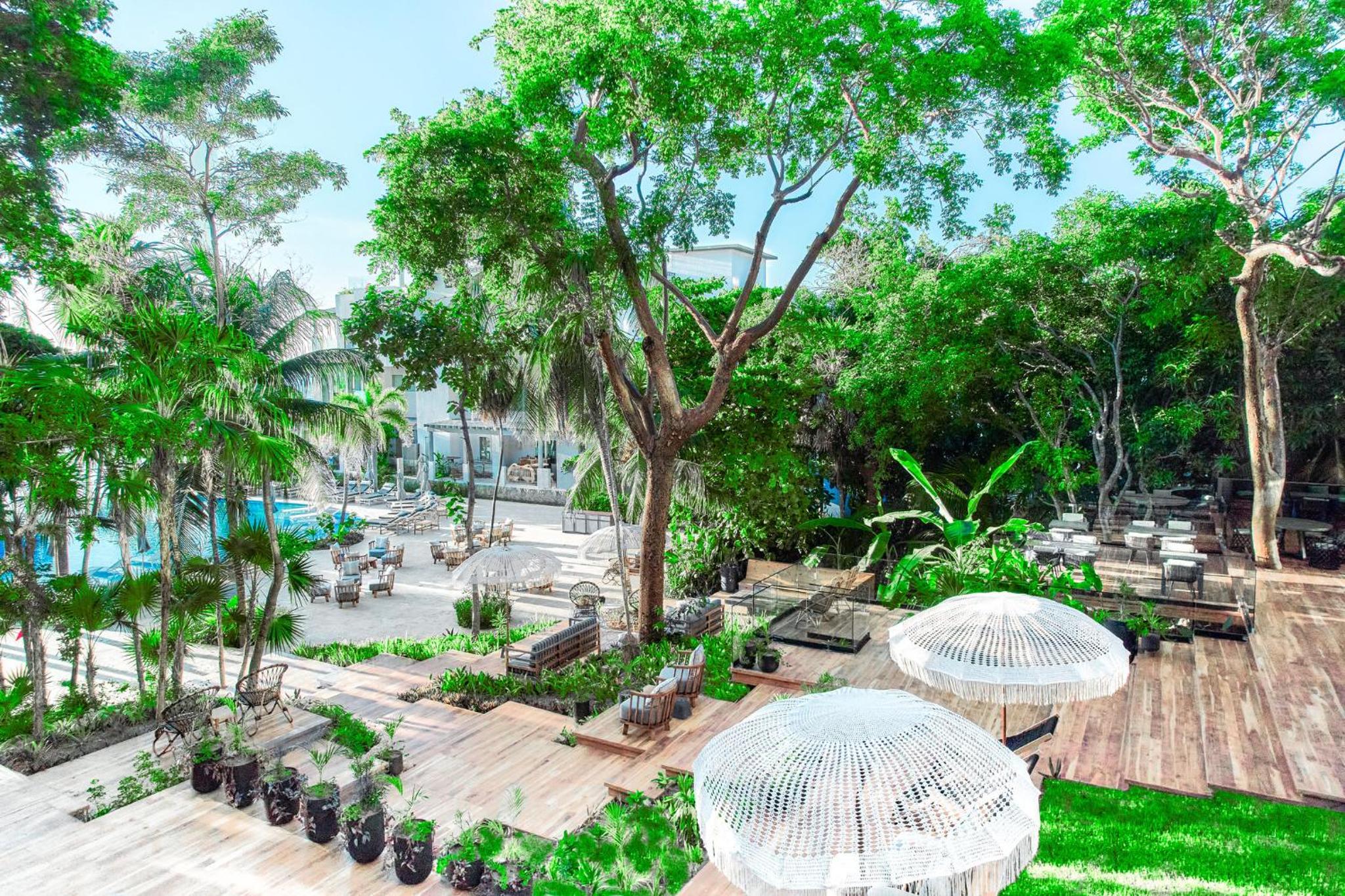 Kimpton - Grand Roatan Resort and Spa - Photo 133