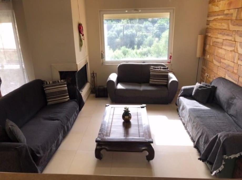 Angela quiet, modern house