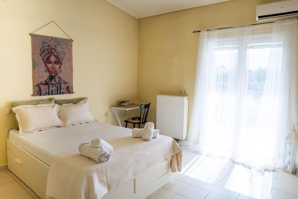 Angela quiet, modern house