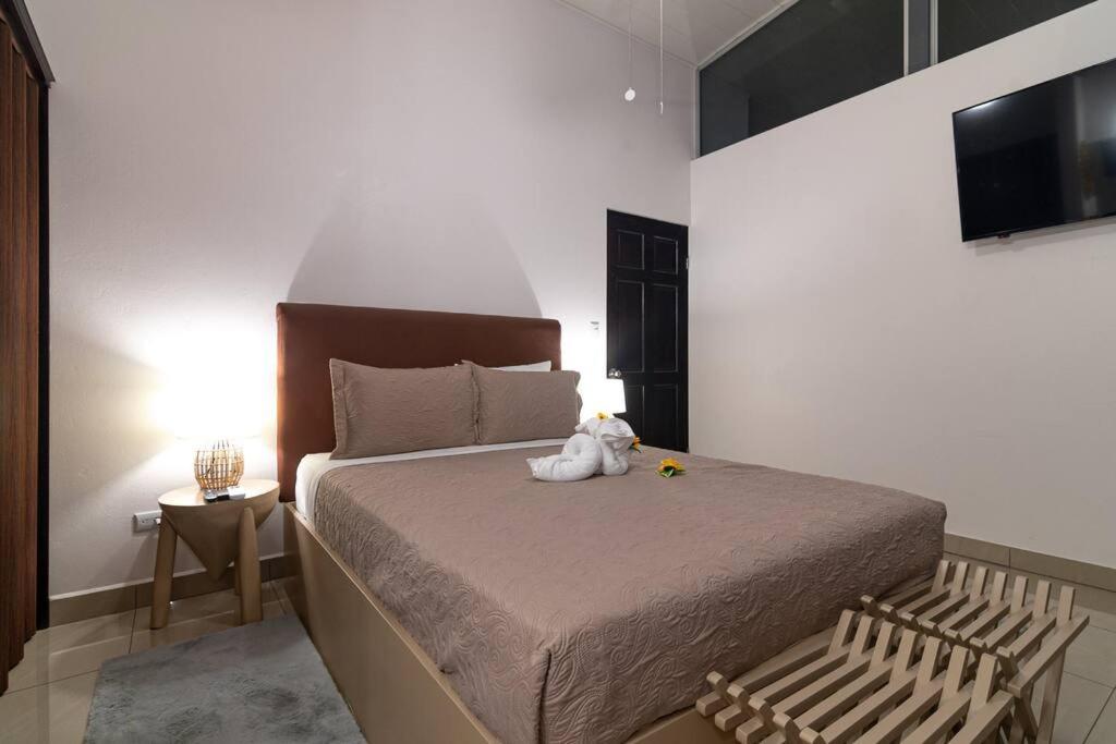 Amara House Arenal Central location