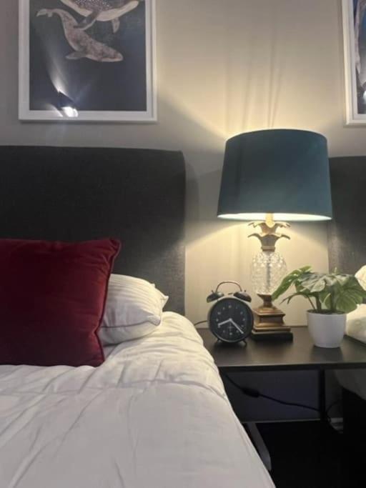 Spacious 2 BR city centre Apt view 3
